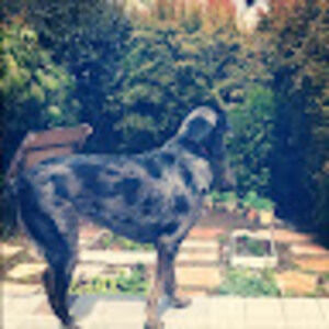 Meet your Posher, Ruby